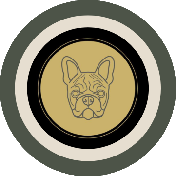 BB Dog Boutique Ltd, doggy soft play and dog shop on Union Street, Aldershot