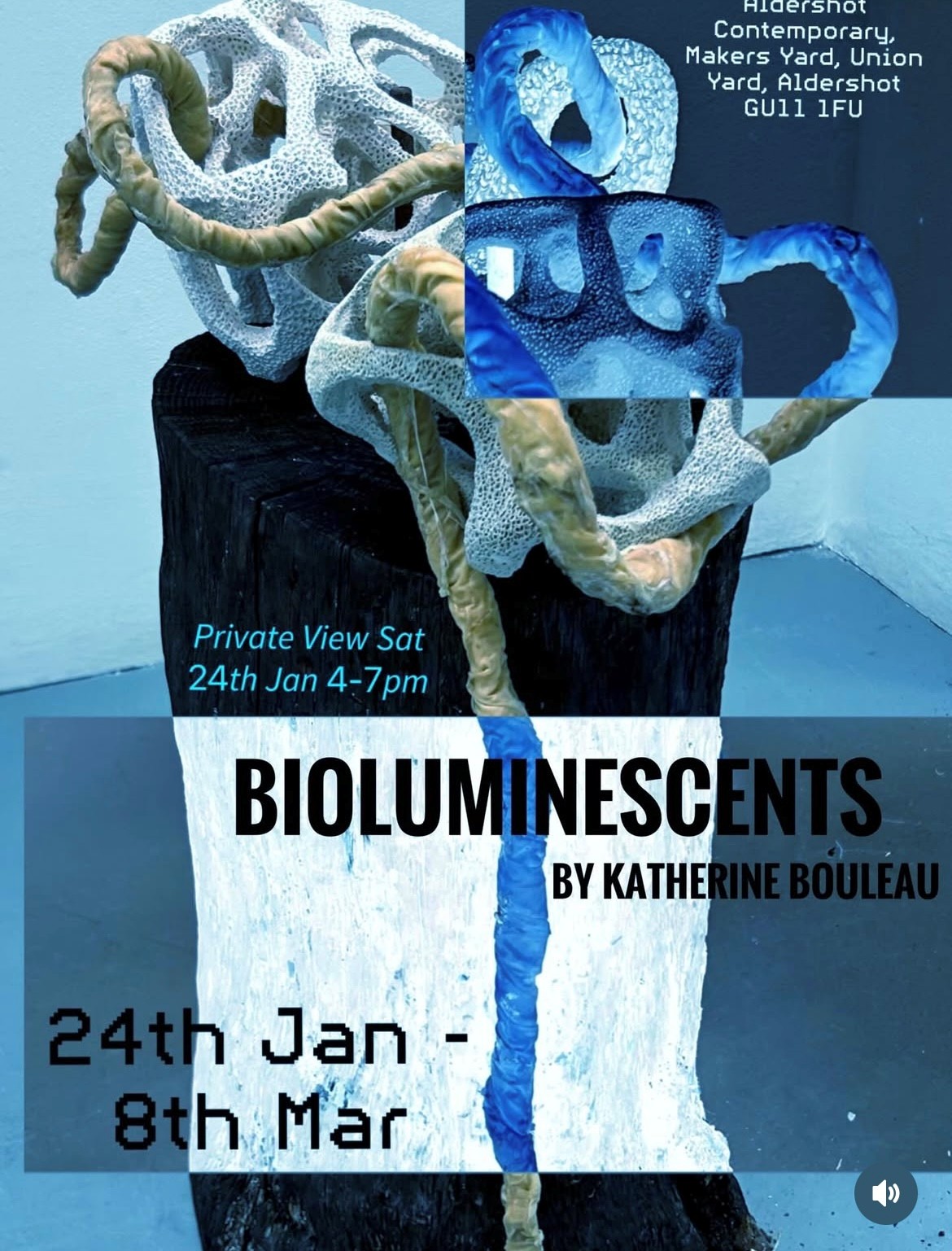 flyer for bioluminescent exhibition in Union Yard, Aldershot